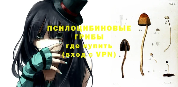 прущие крисы Белоозёрский
