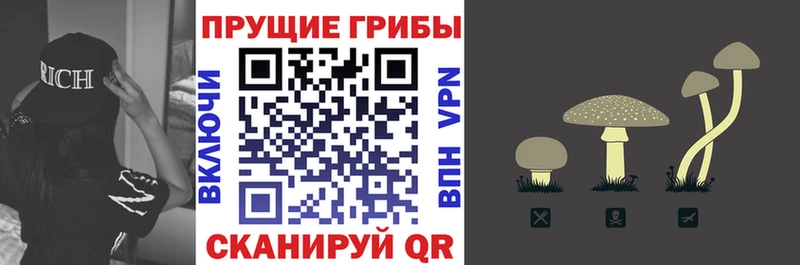 купить закладку hydra tor Галлюциногенные грибы Magic Shrooms Нововоронеж