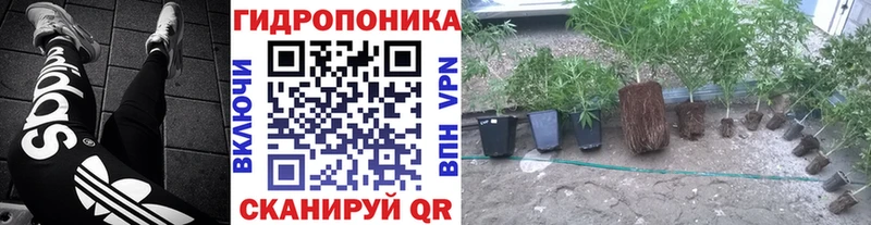 Бошки марихуана марихуана где можно купить наркотик Нововоронеж